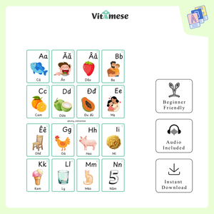 5 SETS BUNDLE - Beginner 0, 1, 2, 3, 4