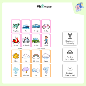 5 SETS BUNDLE - Beginner 0, 1, 2, 3, 4