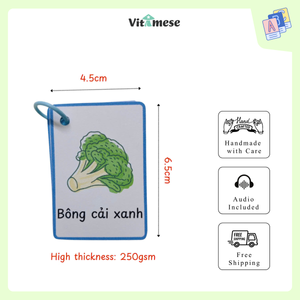 4 SETS BUNDLE - Beginner 0, 1, 2, 3