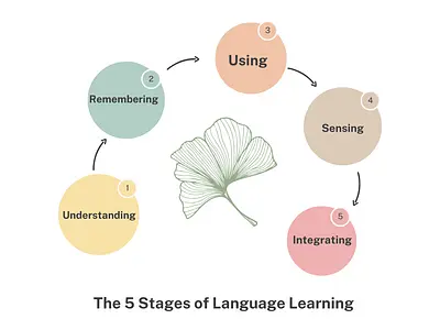 The 5 Stages of Language Learning 