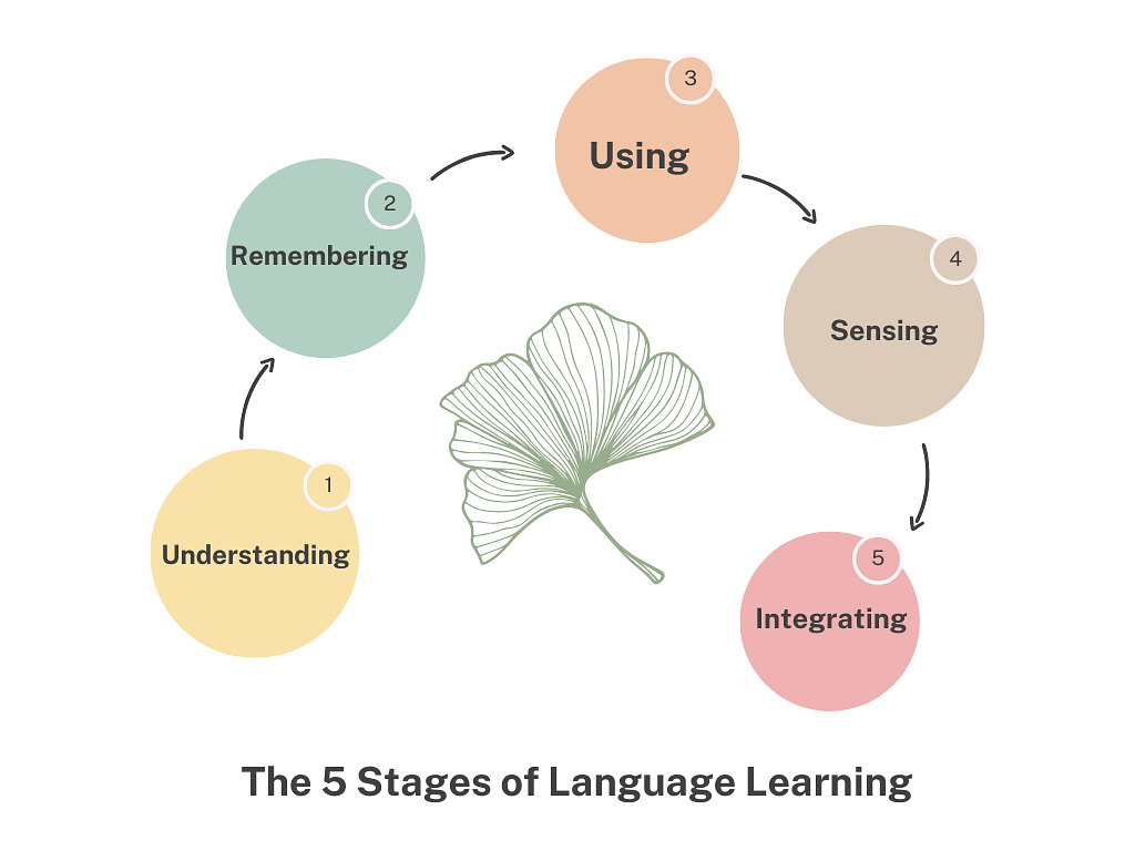 The 5 Stages of Language Learning 