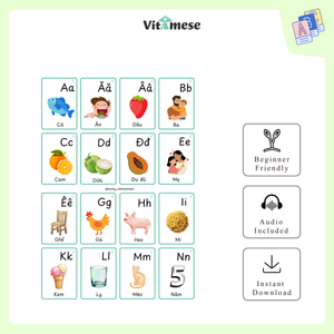 Beginner 1 + Beginner 2 