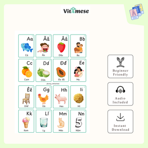Beginner 1 + Beginner 2 