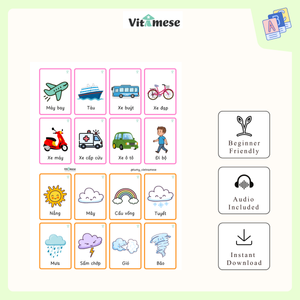 6 SETS BUNDLE - Beginner 0, 1, 2, 3, 4 and Supper Kids Flashcards