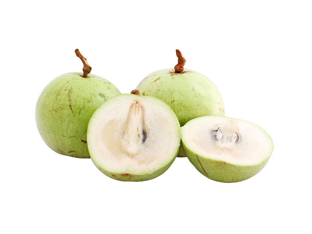Star apple - Vú sữa 