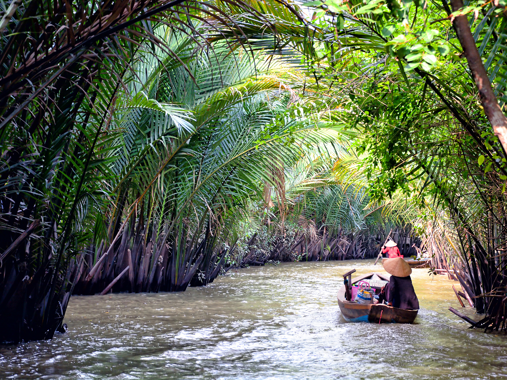 Mekong Delta